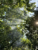 Hyaluronic Acid Sunscreen - SPF30