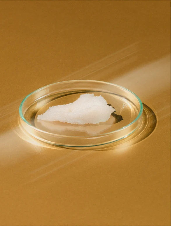Eye Cream - Brightening (Shea Butter)